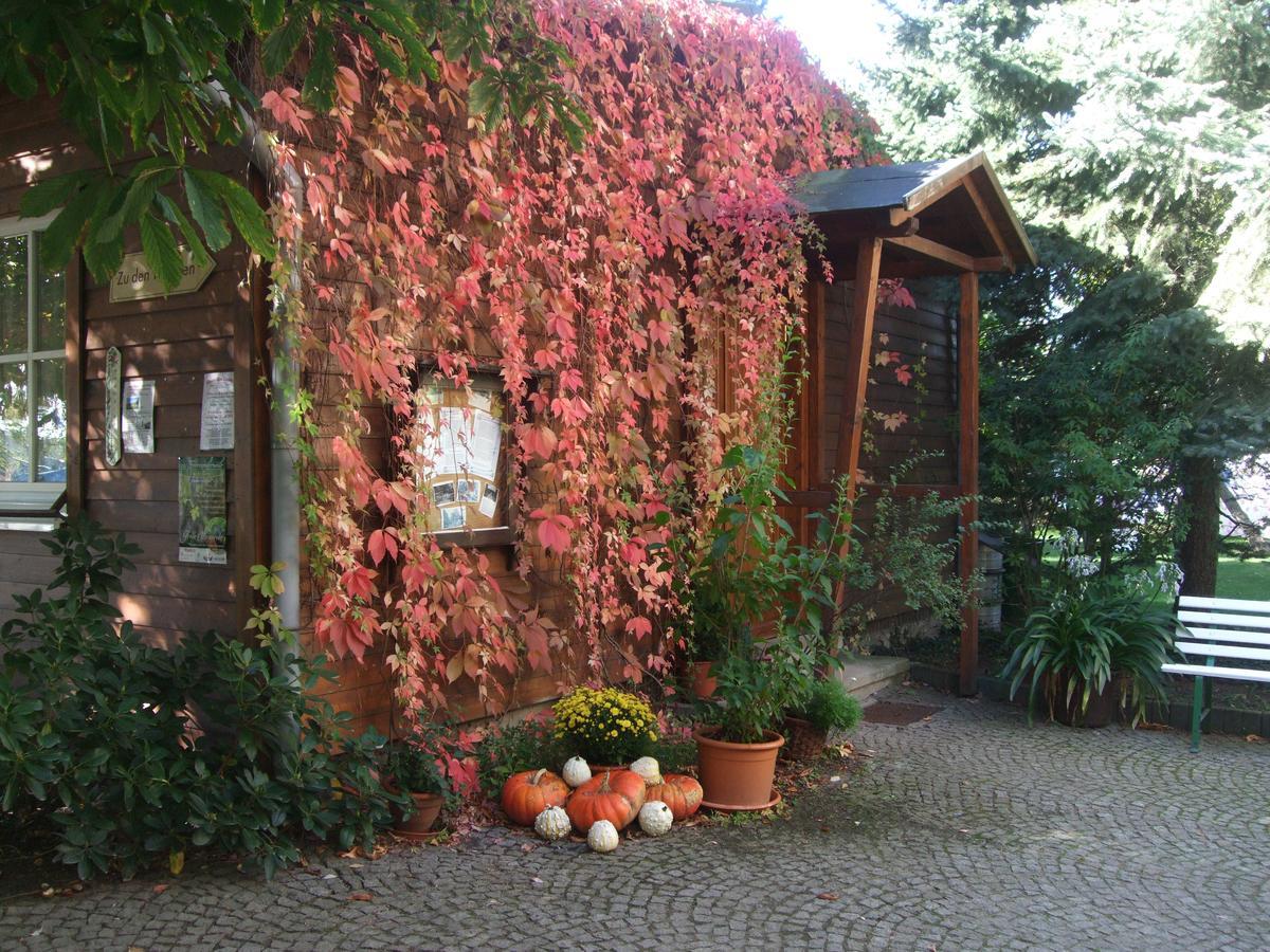 Hotel Jägerheim Löbsal Lobsal Exterior foto